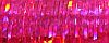 Fiery Fuchsia - 024L 