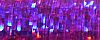 Punchy Purple - 026L 