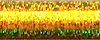 Solar Flair - 028L 
