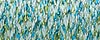 Mint Julep - 829