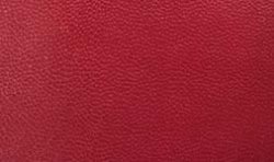 Red Leather
