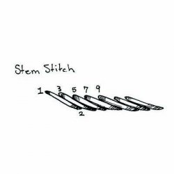 Stem Stitch