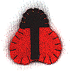Felt Ladybug