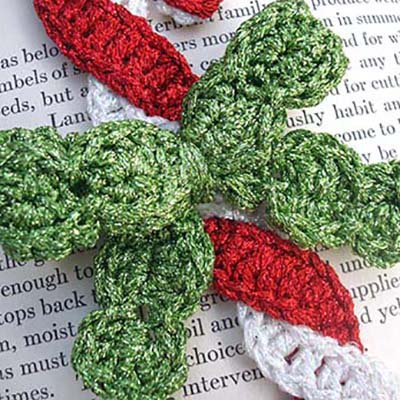 Crochet with Canvas #24 Braid