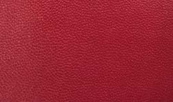 Red Leather