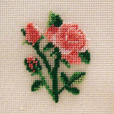 Silk gauze petit point embroidery