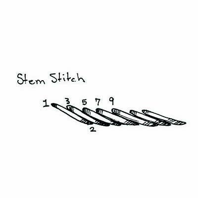 Stem Stitch
