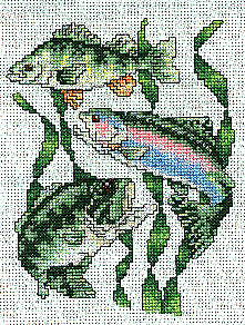 Freshwater Fish