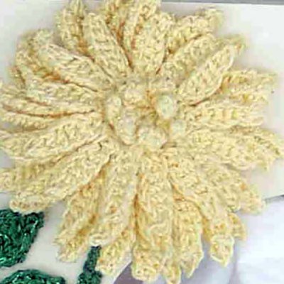 Chrysanthemum