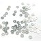 #19 Silver Paillettes