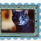 Use the tape to decorate photos, frames and mats