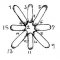Algerian Eyelet