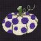 Stitch Guide for Patty Paints Needlepoint Pumpkin