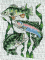 Freshwater Fish