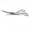 6" Double Curved Scissors X621C