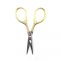 3.5" Lion's Tail Scissors